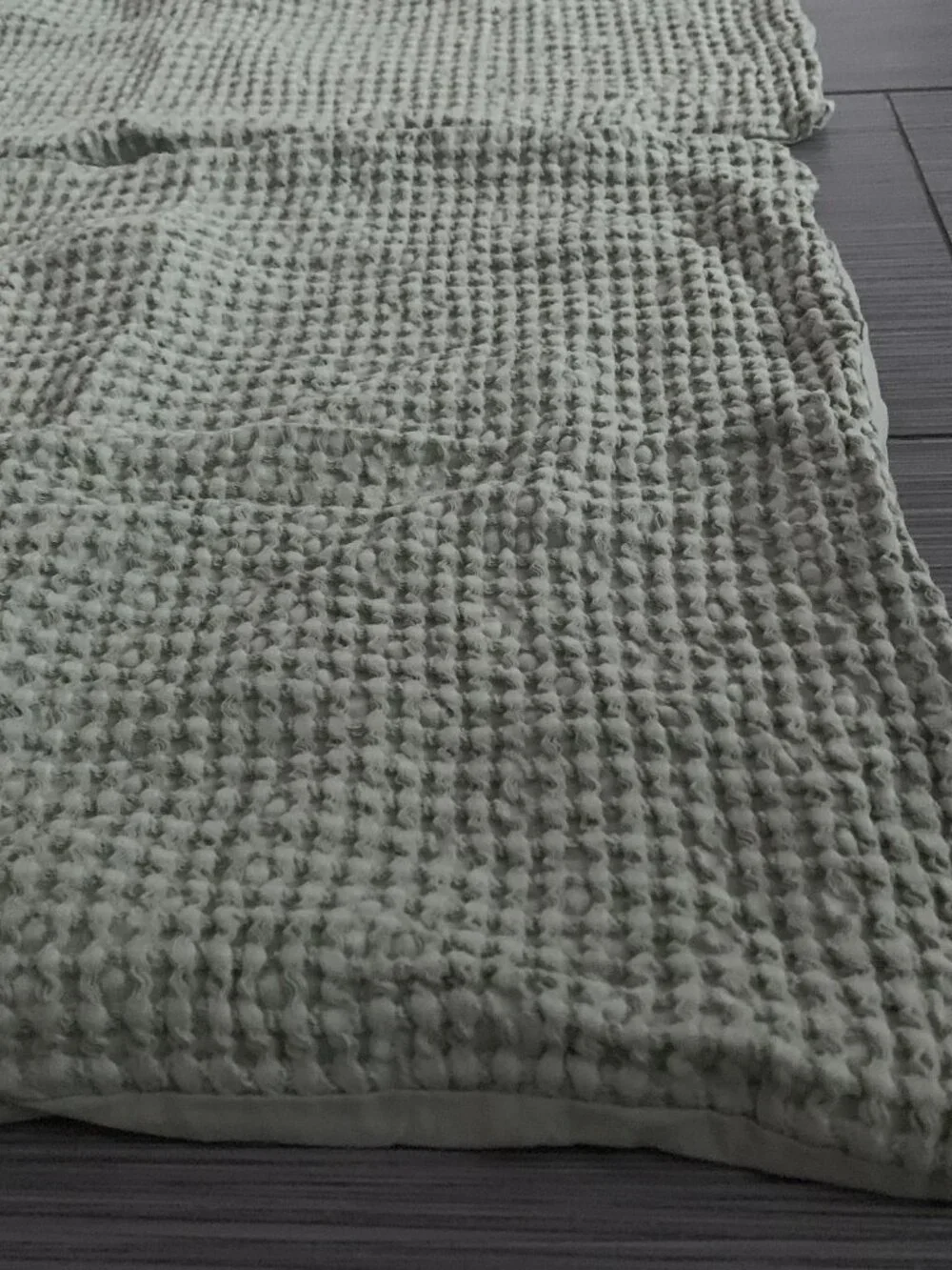 Nicole Miller Sage Green Waffle Weave Cotton Pillow Shams Set of 2 (26x20)